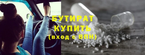 индика Гусь-Хрустальный