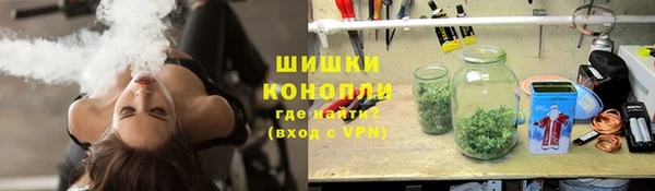 ГАЛЛЮЦИНОГЕННЫЕ ГРИБЫ Горнозаводск