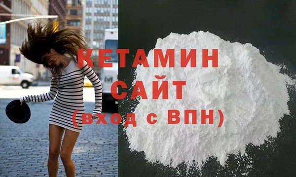 индика Гусь-Хрустальный