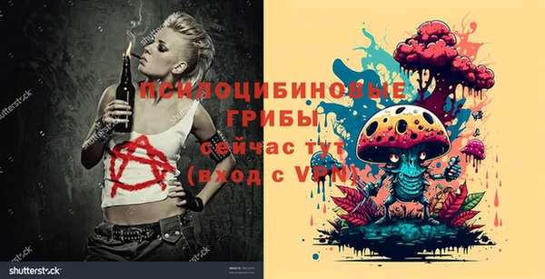 ГАЛЛЮЦИНОГЕННЫЕ ГРИБЫ Горнозаводск