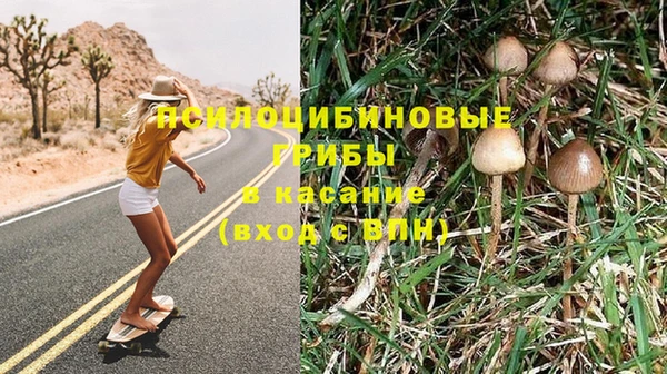 меф Горно-Алтайск