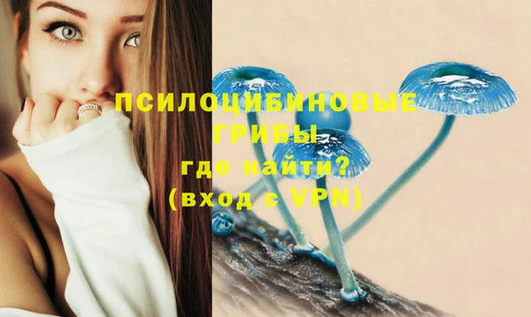 меф Горно-Алтайск