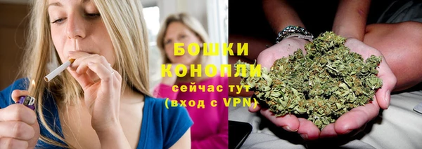 ГАЛЛЮЦИНОГЕННЫЕ ГРИБЫ Горнозаводск